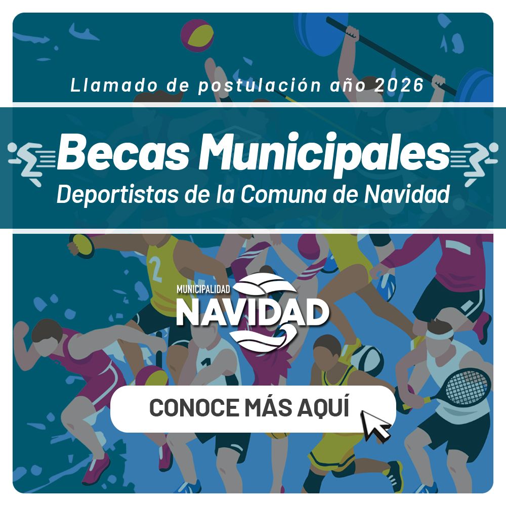 Beca deportiva 2026