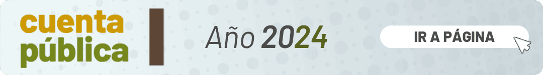 Banner cuenta pública 2024.png