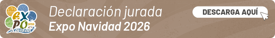 Banner largo expo declaración jurada.png