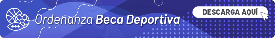 Banner ordenanza.png